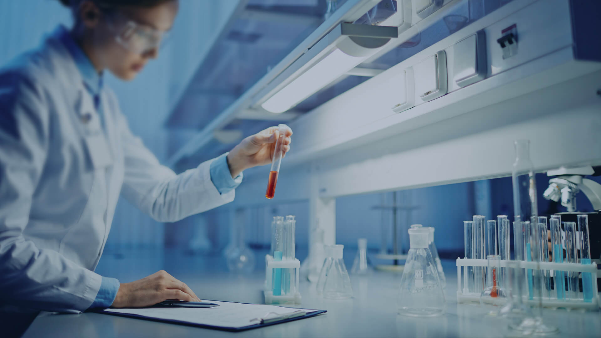 FH至尊·(中国区)集团